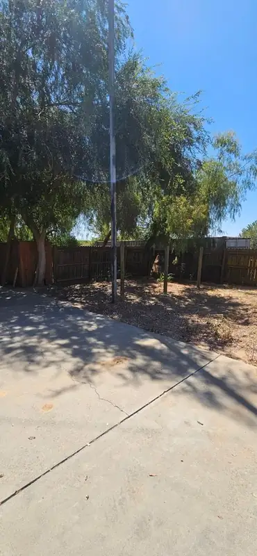 Backyard cleaned out around a basketball court area