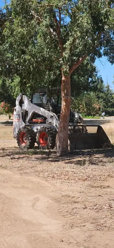 Superior Hauling Bobcat S175 skid steer parked on a cleared lot